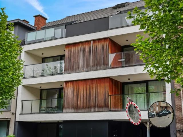 à louer Appartement Saint Trond Tichelrijstraat
