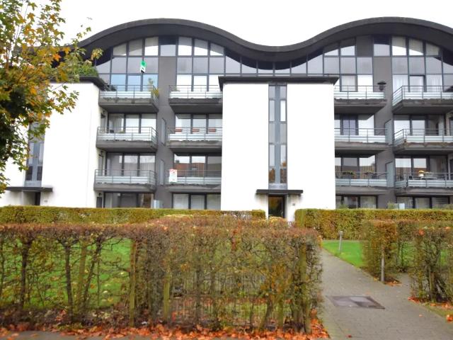 à louer Appartement Sint Kruis Raadsherenlaan