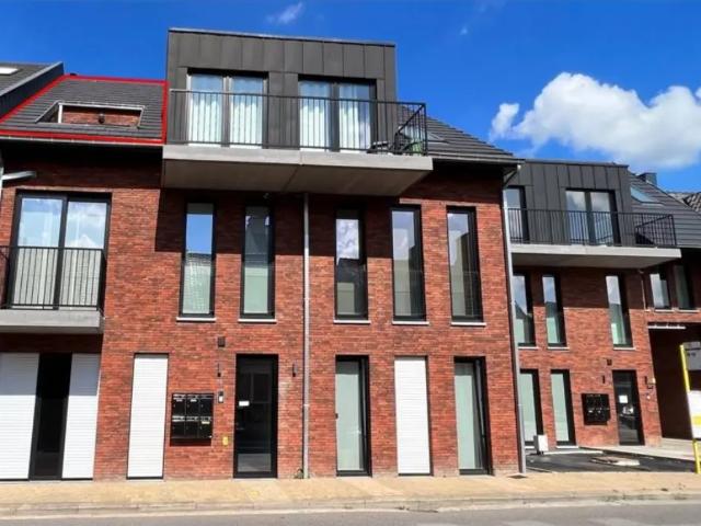 à louer Appartement Sint Niklaas Hertjen