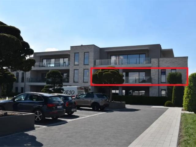 à louer Appartement Tongres Schaapsweide