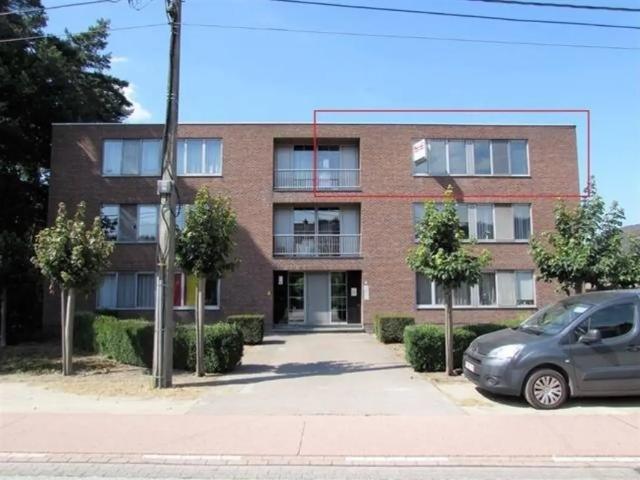 à louer Appartement Westerlo Asberg