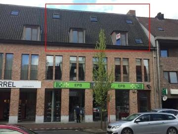 2390, Malle, Province de Anvers, Flandre