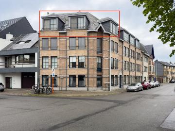 9230, Termonde, Flandre orientale, Flandre