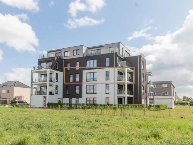 à louer Appartement Wetteren Esdoornlaan