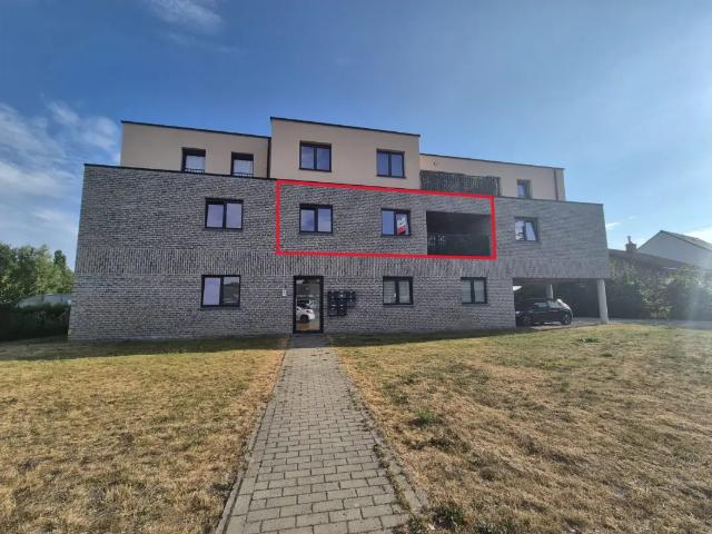 à louer Appartement Wichelen Moleken