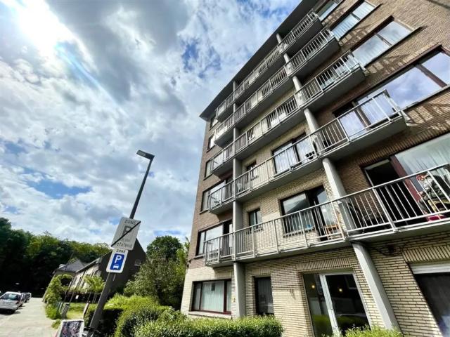 à louer Appartement Wilrijk Karel Mestdaghplein