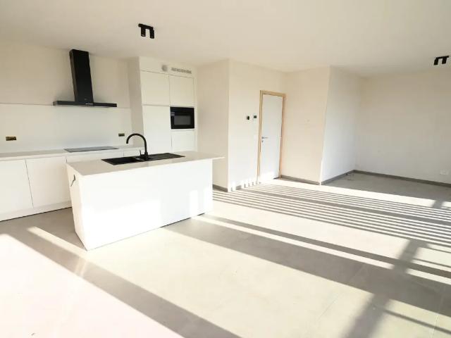 à louer Appartement Zwevezele Hille