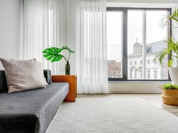 à louer Appartement Zottegem Markt