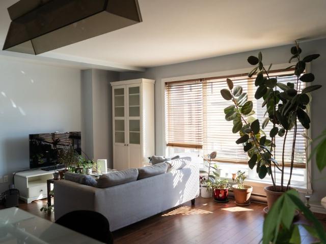 À louer / Appartement
