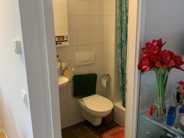 À louer / Duplex / Lausanne | REGIE DUBOUX SA