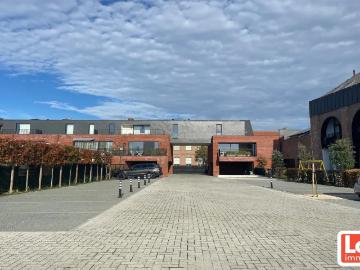 9080, Arrondissement de Gand, Flandre orientale, Flandre