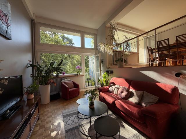 A LOUER JARDIN DES PLANTES APPARTEMENT MEUBLÉ DE TYPE 2 AVEC GARAGE