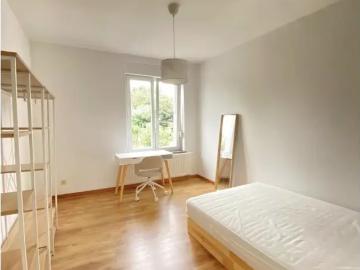 4000, Liège, Arrondissement de Liège, Wallonie