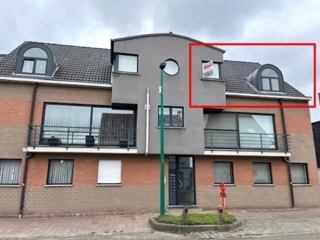 à louer Penthouse Vosselaar Bolk