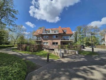 9230, Termonde, Flandre orientale, Flandre