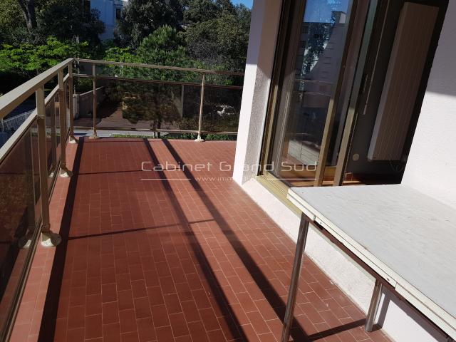 A louer quartier Montpellier Alco T3 60 M2