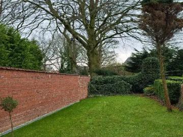 1030, Schaerbeek, Bruxelles-Capitale - Jardin