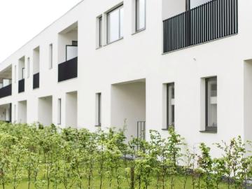 2020, Antwerpen, Anvers, Province de Anvers, Flandre