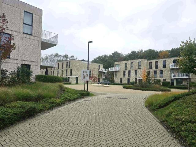 à louer Rez De Chaussée Hamme Kapellestraat