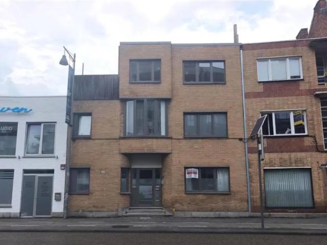 à louer Rez De Chaussée Hasselt de Schiervellaan