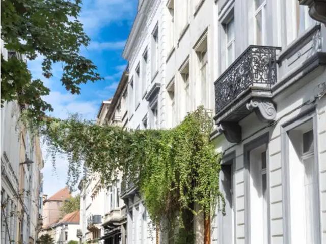 à louer Rez De Chaussée Ixelles rue Keyenveld