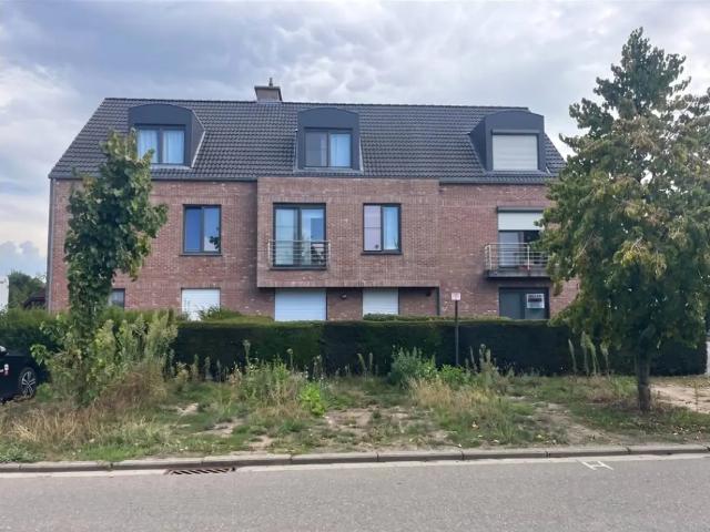 à louer Rez De Chaussée Meerhout Sportlaan