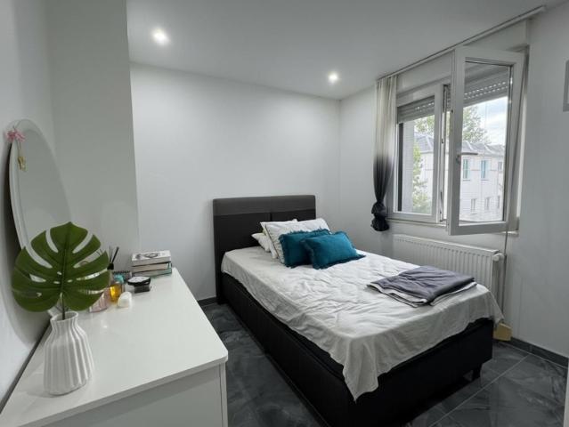 À louer Strasbourg Port du Rhin: Bel appartement en duple