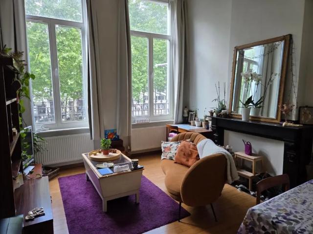 à louer Studio Anvers Mertens En Torfsstraat
