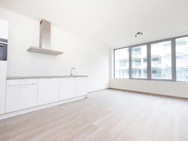 à louer Studio Bruxelles Rue du Marais