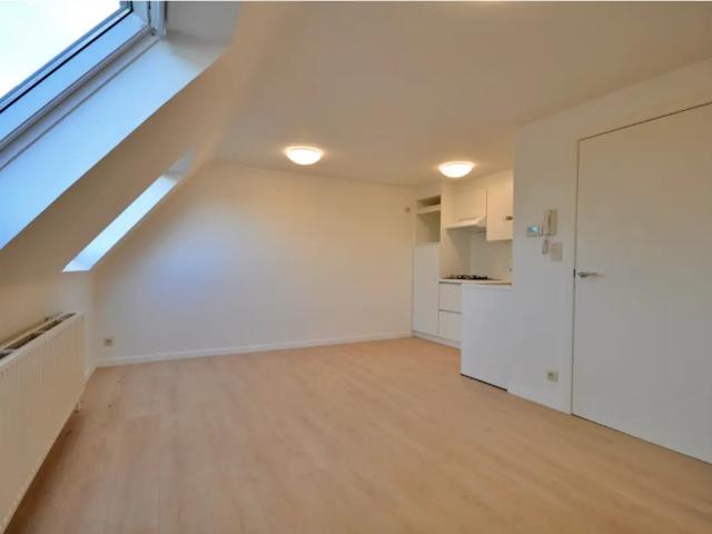 à louer Studio Eine Kanunnikenstraat