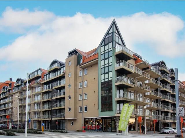 à louer Studio Nieuwpoort Vlaanderenstraat