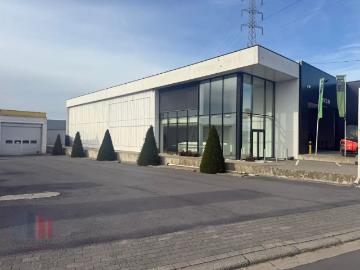 8800, Roeselare, Roulers, Flandre-Occidentale, Flandre