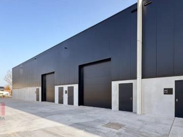 9255, Termonde, Flandre orientale, Flandre