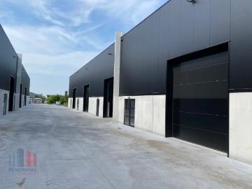 9255, Termonde, Flandre orientale, Flandre