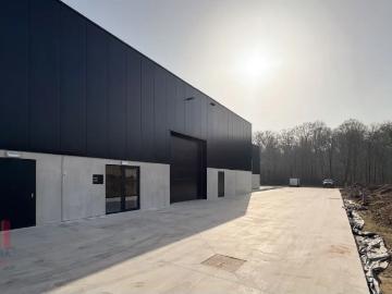 9255, Termonde, Flandre orientale, Flandre