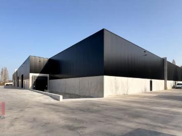 9255, Termonde, Flandre orientale, Flandre