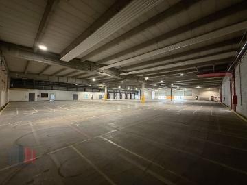 9200, Termonde, Flandre orientale, Flandre