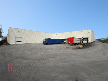 9200, Termonde, Flandre orientale, Flandre