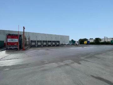 8800, Roeselare, Roulers, Flandre-Occidentale, Flandre