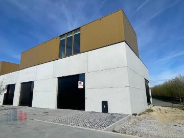 8800, Roeselare, Roulers, Flandre-Occidentale, Flandre