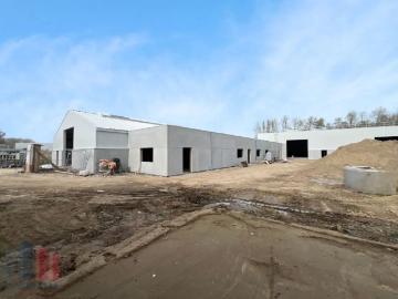 9260, Termonde, Flandre orientale, Flandre