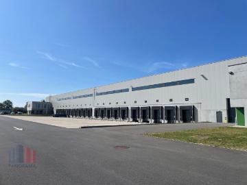 8380, Arrondissement de Bruges, Flandre-Occidentale, Flandre