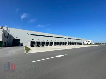 8380, Arrondissement de Bruges, Flandre-Occidentale, Flandre