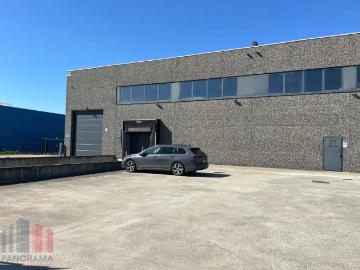 9240, Termonde, Flandre orientale, Flandre