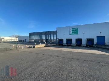 9240, Termonde, Flandre orientale, Flandre