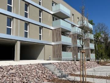 A louer sans frais d'agence Plusieurs superbes appartements T2 à Brumath