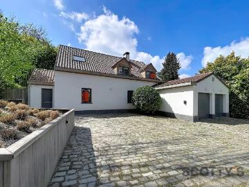 1640, Hal-Vilvorde, Flandre - Tuin, Terras