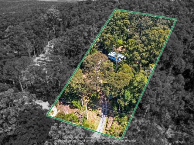 A Peaceful Beechmont Escape on 4,200m²
