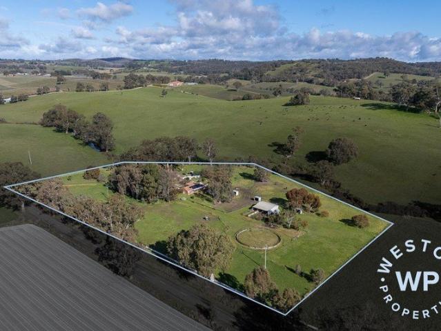 A peaceful country lifestyle with the ideal setup for horses on 3 hectares / 7.4 acres