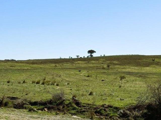 A Peaceful Lifestyle Block of 15.2 Acres with Endless Views